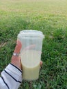 a hand holding a matcha drink on a grass background Royalty Free Stock Photo
