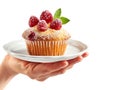 Hand holding a muffin with raspberry on a white plate, isolated on white transparent background, concept of breakfast Royalty Free Stock Photo