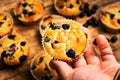 Hand holding muffins with berry fruit