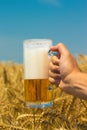 Hand holding mug of beer on harvest field Royalty Free Stock Photo