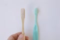 Natural bamboo toothbrush versus plastic blue brush