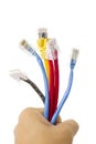 Hand holding network cables Royalty Free Stock Photo