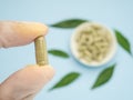 Hand holding of one Andrographis paniculata capsule with a pile of capsules and green leaves isolated on blue background. Royalty Free Stock Photo