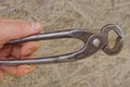 Hand holding one iron wire cutter Royalty Free Stock Photo