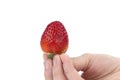 Hand holding one strawberry on white Royalty Free Stock Photo