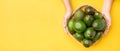 Hand holding organic avocados whole fruit in basket on yellow table background.Healthy super foods for diet.Fresh vegetable from