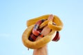 Hand holding a pair of snakes Royalty Free Stock Photo