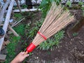 a hand holding a palm fiber broom