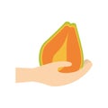 hand holding papaya fruit