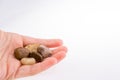 Hand holding the pebbles Royalty Free Stock Photo