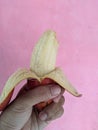 hand holding a peeled banana, eating a banana, red banana, pink background