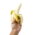 Hand holding peeled banana on isolated white background Royalty Free Stock Photo