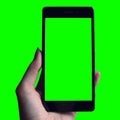 Hand holding phone with green background
