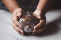 Hand holding piggy bank. Clear glass material. Money saving concept Royalty Free Stock Photo