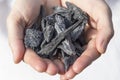 A hand holding a pile of black kyanite Royalty Free Stock Photo