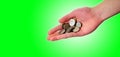 Hand holding pile of coins Royalty Free Stock Photo
