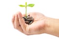 Hand Holding A Pile Of Coins And A Small Plant Sprouting From Th Royalty Free Stock Photo