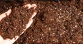 Hand holding a pile of organic humus soil for planting, potting, or home gardening