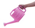 Hand holding pink watering can isolated on white background with Royalty Free Stock Photo