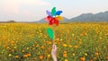 Hand holding pinwheel against landscape of yellow flower and mountain Royalty Free Stock Photo