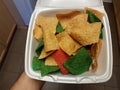 Hand holding plain and red and green tortilla chips Royalty Free Stock Photo