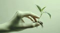 A hand holding a plant in its palm Royalty Free Stock Photo