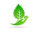 Hand holding plant, Leaf in hand icon, logo growth concept vector. Royalty Free Stock Photo