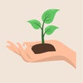 Hand holding plant for save nature or plant in hand vector icon Royalty Free Stock Photo