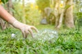 Hand holding plastic bottles waste, Couple picking up trash putting to the black garbage bag at Sunflower Park on Environmental Royalty Free Stock Photo