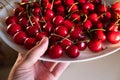 Hand holding plate with cherries top view Royalty Free Stock Photo