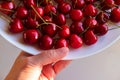 Hand holding plate with cherries top view Royalty Free Stock Photo