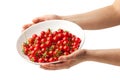 Hand holding plate with fresh cherry tomatoes Royalty Free Stock Photo