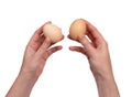 Hand Holding Raw Chicken Egg Isolated on White Background Royalty Free Stock Photo