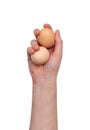 Hand Holding Raw Chicken Egg Isolated on White Background Royalty Free Stock Photo