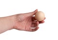 Hand Holding Raw Chicken Egg Isolated on White Background Royalty Free Stock Photo