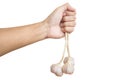 Hand holding raw garlic, isolated on white background Royalty Free Stock Photo