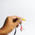 Hand holding RCA  cable , audio video cable. Royalty Free Stock Photo