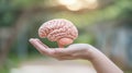 Hand holding a realistic human brain model outdoors. The image represents education, neuroscience, and the connection Royalty Free Stock Photo
