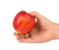 Hand holding a red apple with dropets Royalty Free Stock Photo