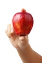 Hand holding red apple isolated clipping path. Royalty Free Stock Photo