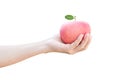 hand holding a red apple isolated on white Royalty Free Stock Photo