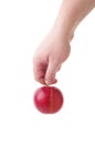 Hand holding a red apple by the stalk