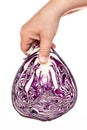 A hand holding a red cabbage Royalty Free Stock Photo