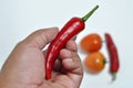 Hand holding red chili and tomato white background