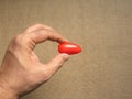 Hand holding red Grape tomato Royalty Free Stock Photo