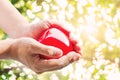 Hand holding red hart with defocus Bokeh with bright sunlight