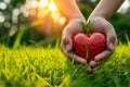 Hand holding red heart is resting on top of green field with sunlight streaming through. Generative AI Royalty Free Stock Photo