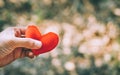 Hand holding a red heart