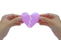 Hand holding red paper broken heart on white background Royalty Free Stock Photo