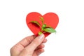 A hand holding a red paper heart shape and a green sprout with leaves as a symbol of ecology